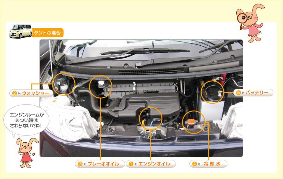 タントの場合